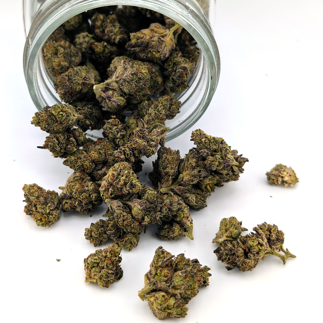 Mochi - 25.87% - Exotic Flower