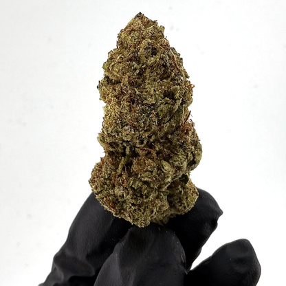 Nigerian Haze- 20.50% Strong Flower