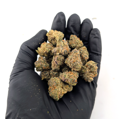 Orange Soda Flower