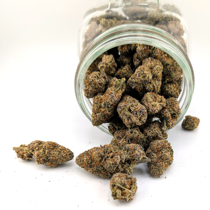 Orange Cheesecake Flower