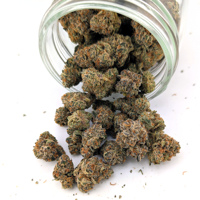 Orange Soda Flower