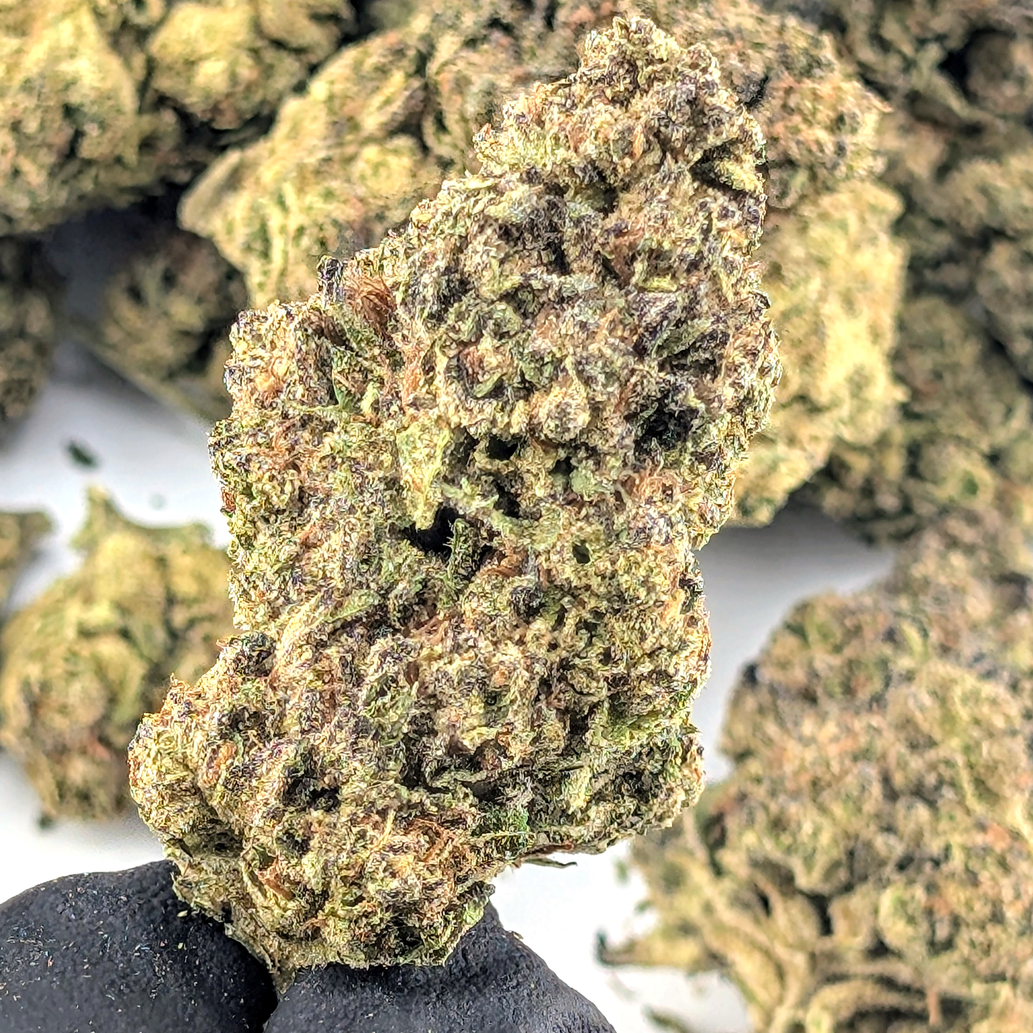 Oreoz- 22.03%- Average Flower