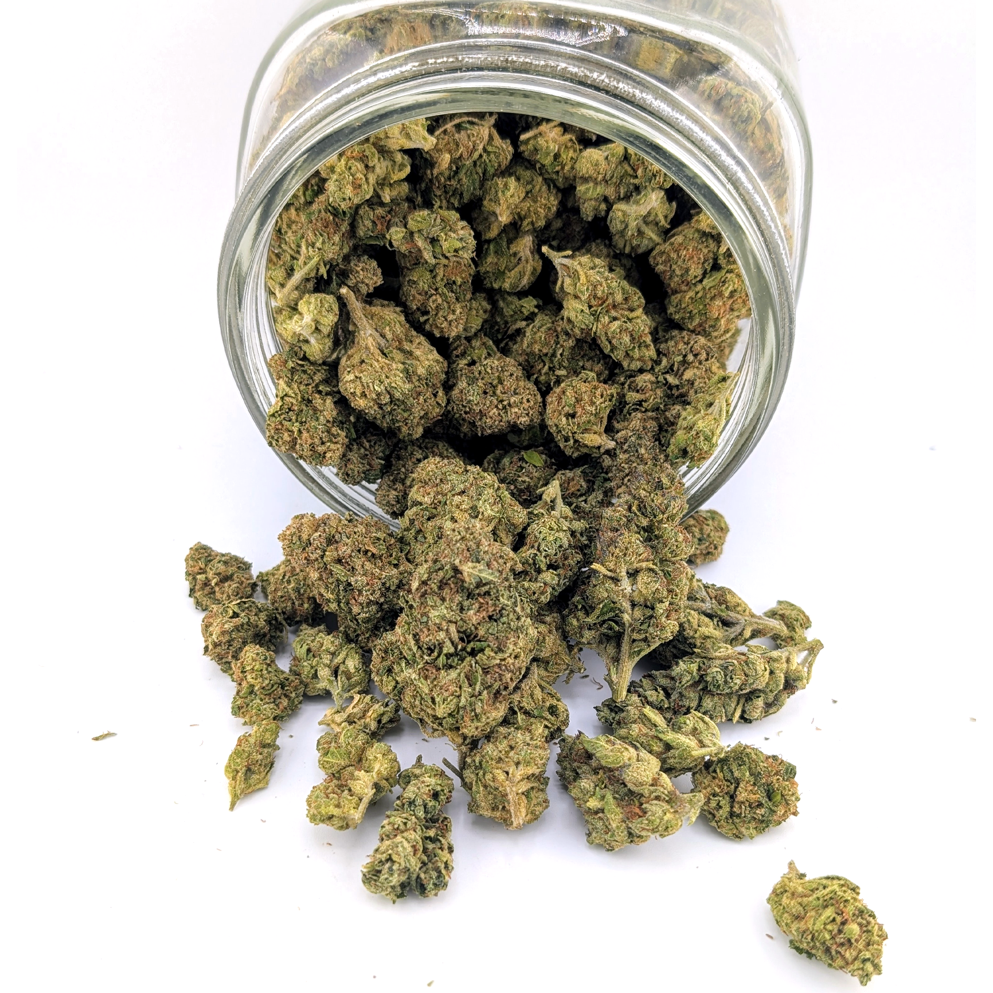 Paint Thinner- 26.81%- Strong Popcorn Buds