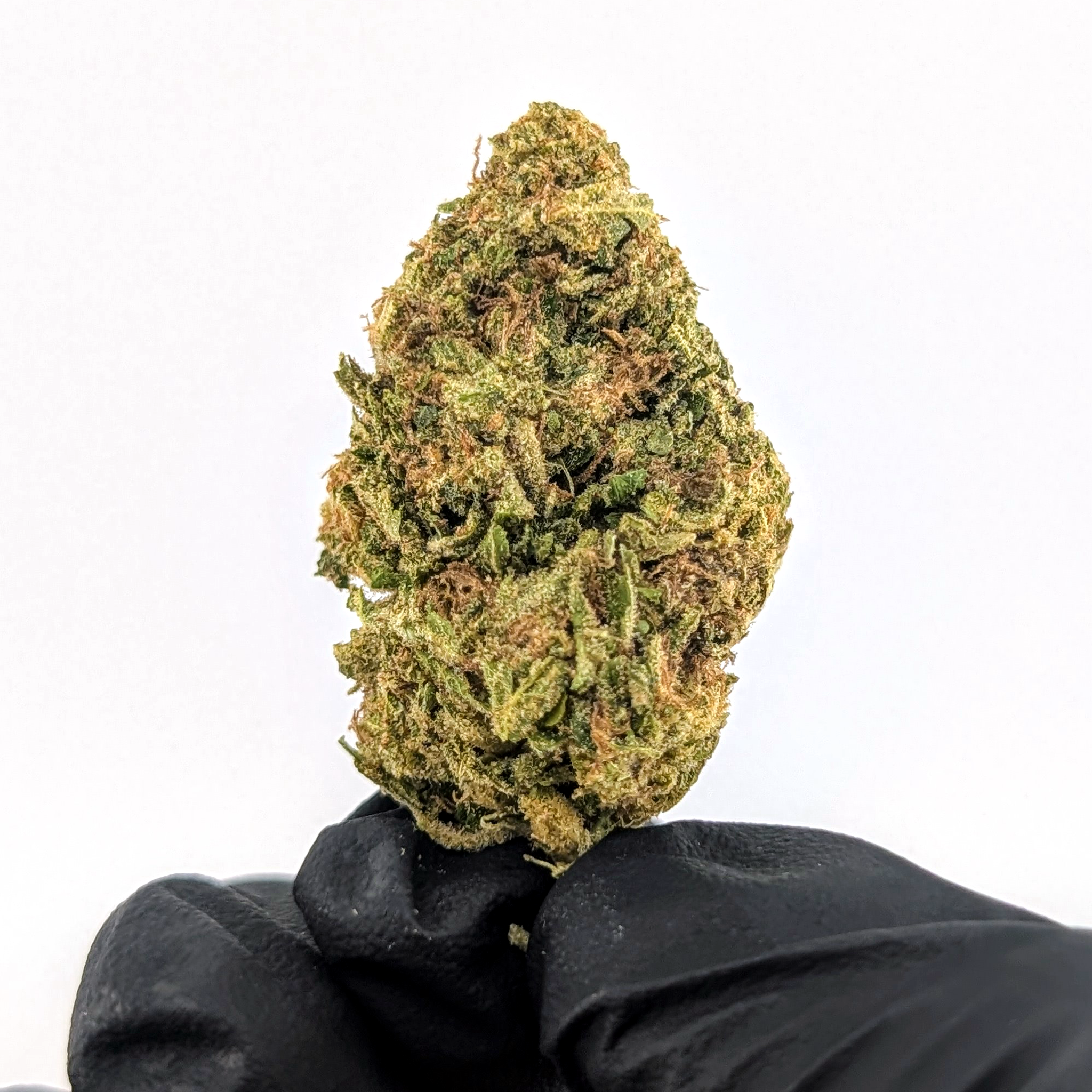 Paint Thinner- 26.81%- Strong Popcorn Buds