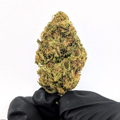 Paint Thinner- 26.81%- Strong Popcorn Buds