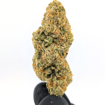 Panama Red - 17.60% - Exotic Flower