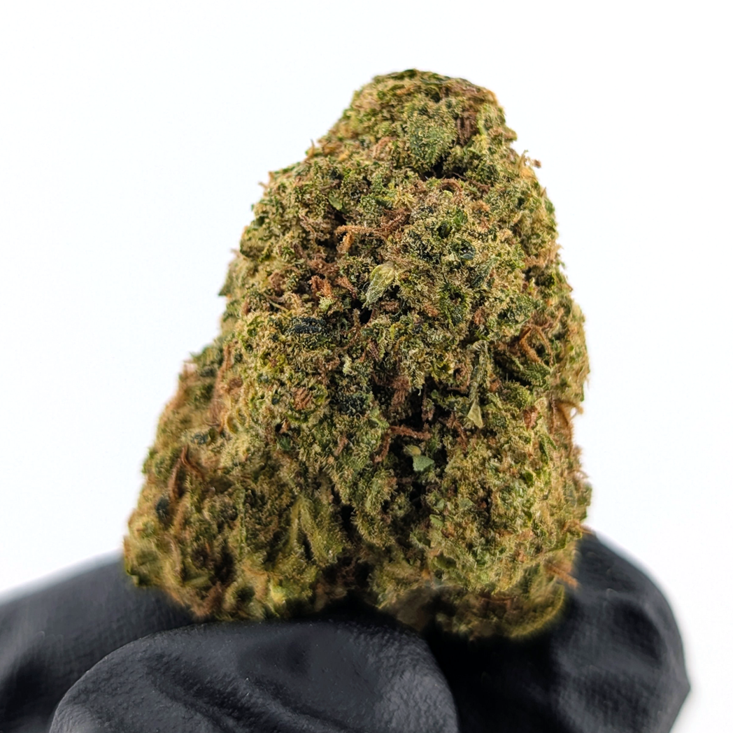 Papaya Punch Flower