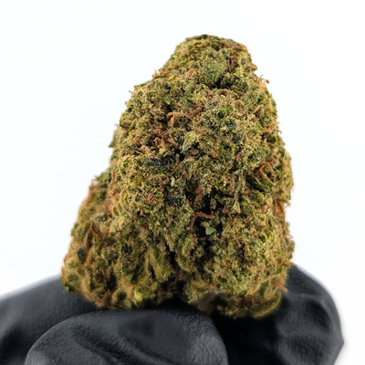 Papaya Punch Flower