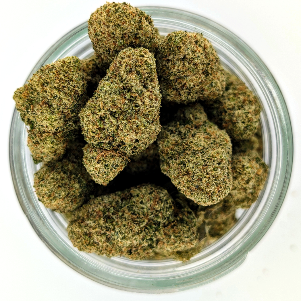 Papaya Punch - 30.25 - Exotic Flower