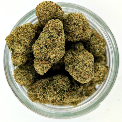 Papaya Punch - 30.25 - Exotic Flower
