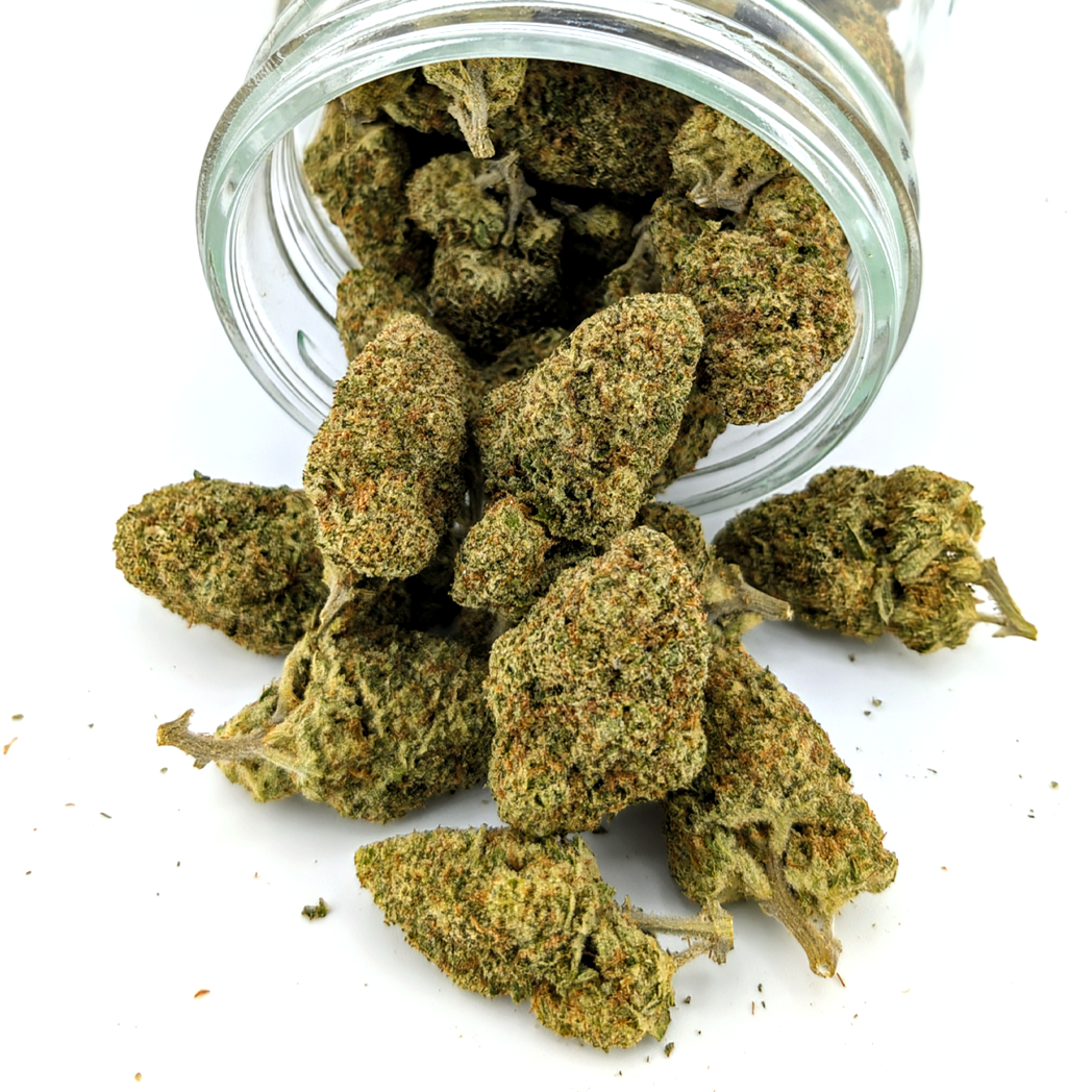 Papaya Punch - 30.25 - Exotic Flower