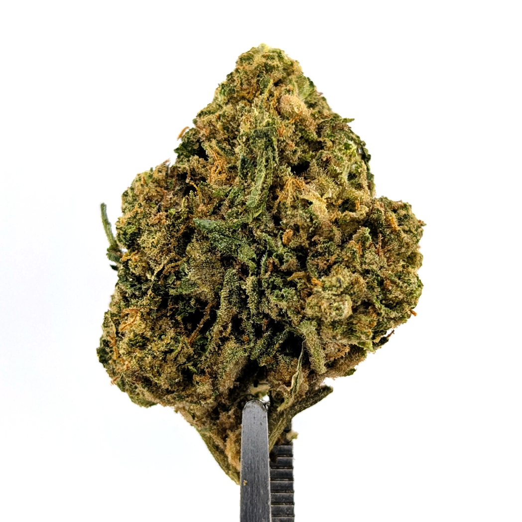 Pave Khalifa Flower