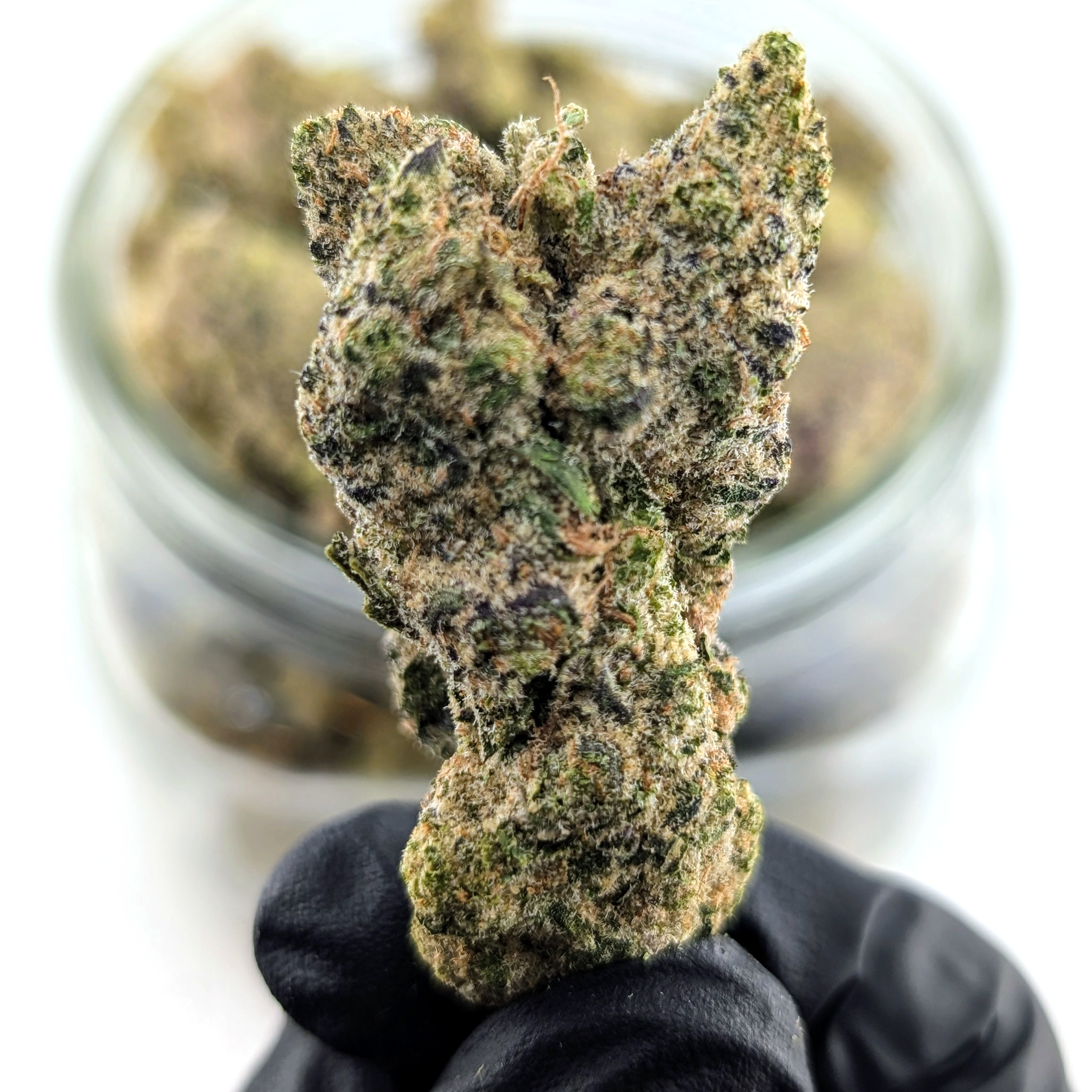 Peanut Butter Shake - 25.76%- Exotic Flower