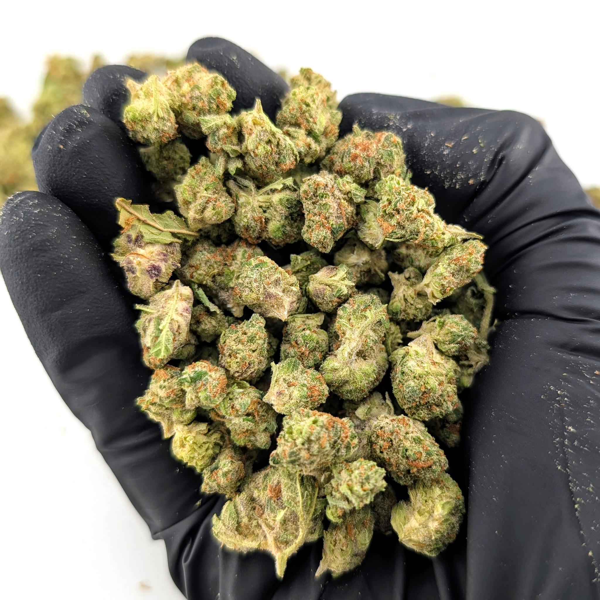 Pineapple Breeze- 23.81%- Exotic Popcorn Buds