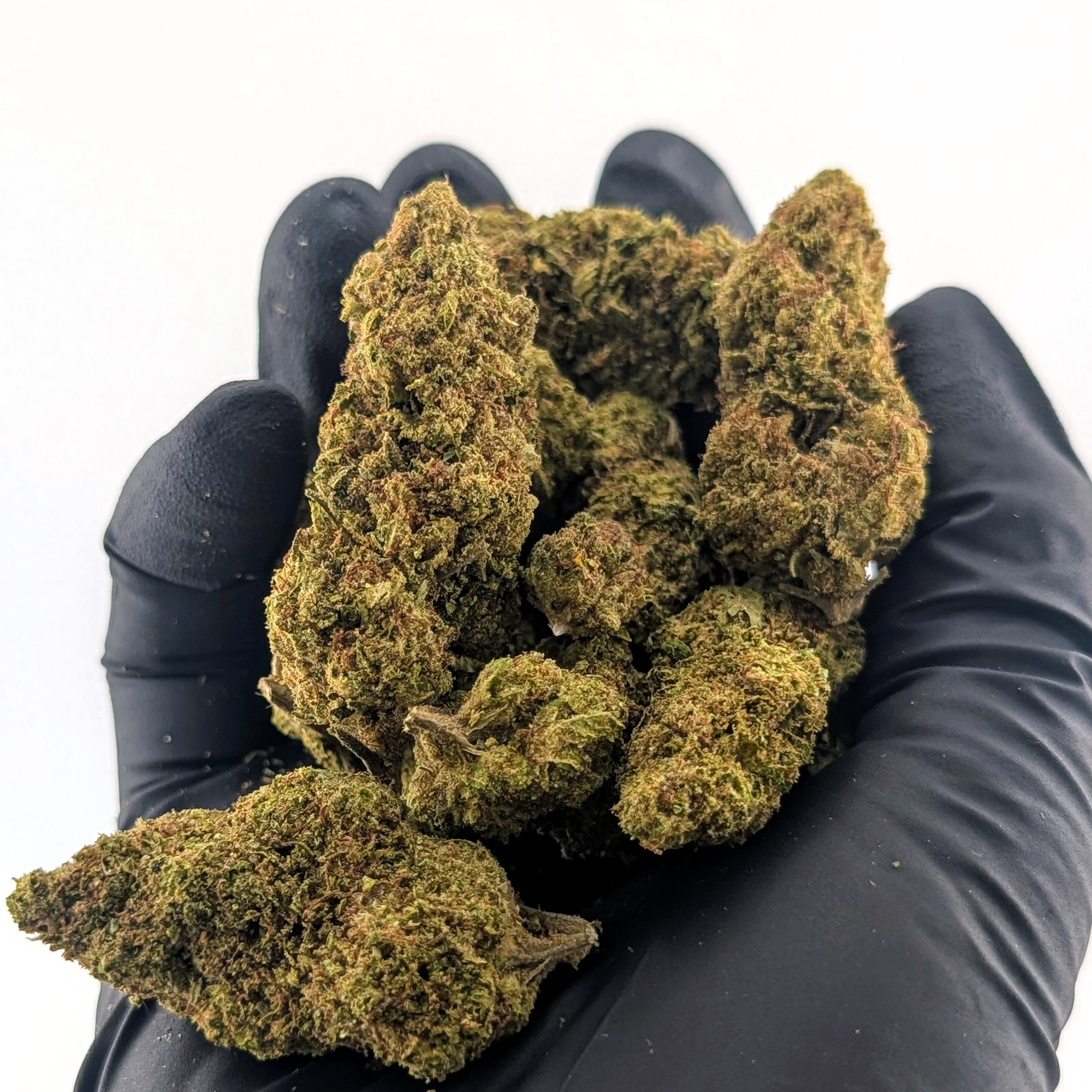 Pink Runtz 30.51%- Average Flower