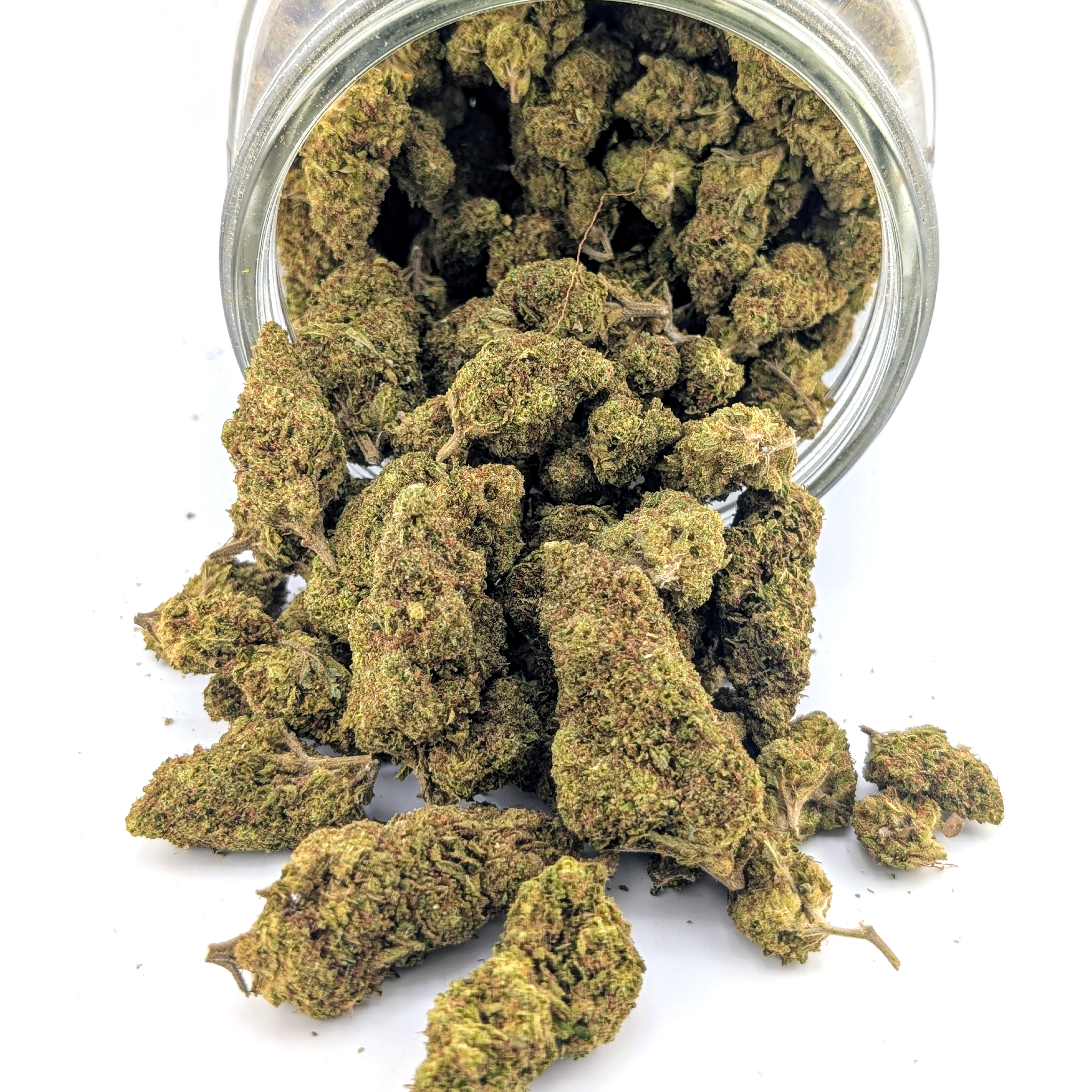 Pink Runtz 30.51%- Average Flower