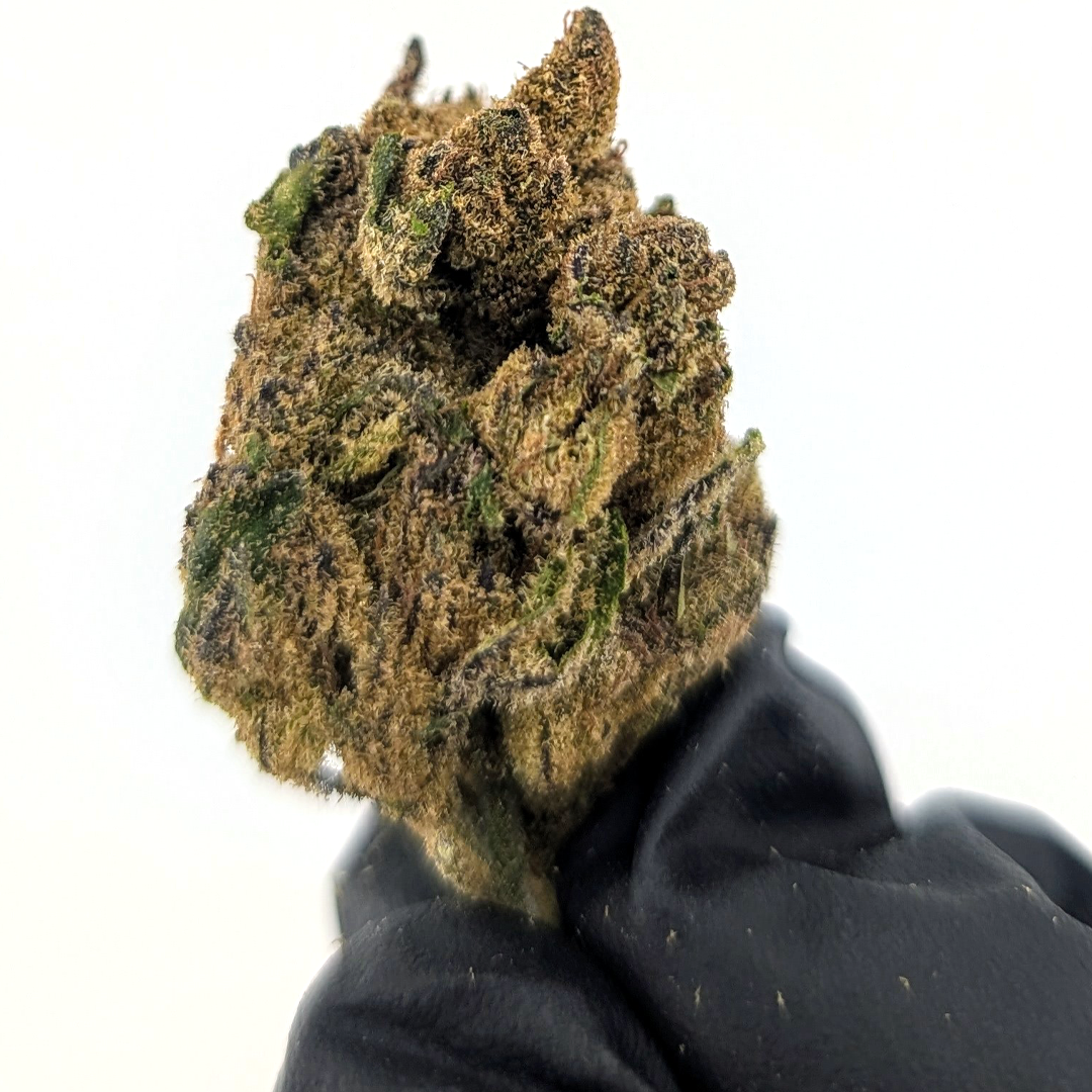 Pink Runtz 25.32%- Average Flower