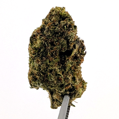 Pop Rocks Flower