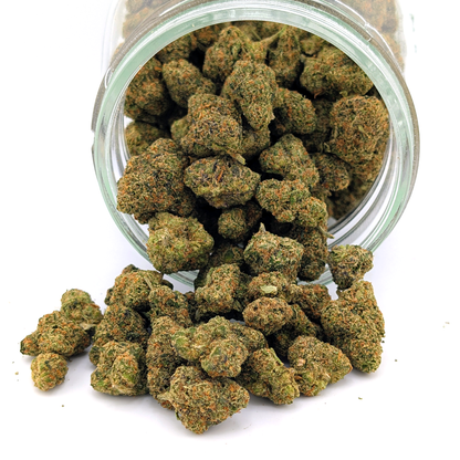 Presidential Purple Flower