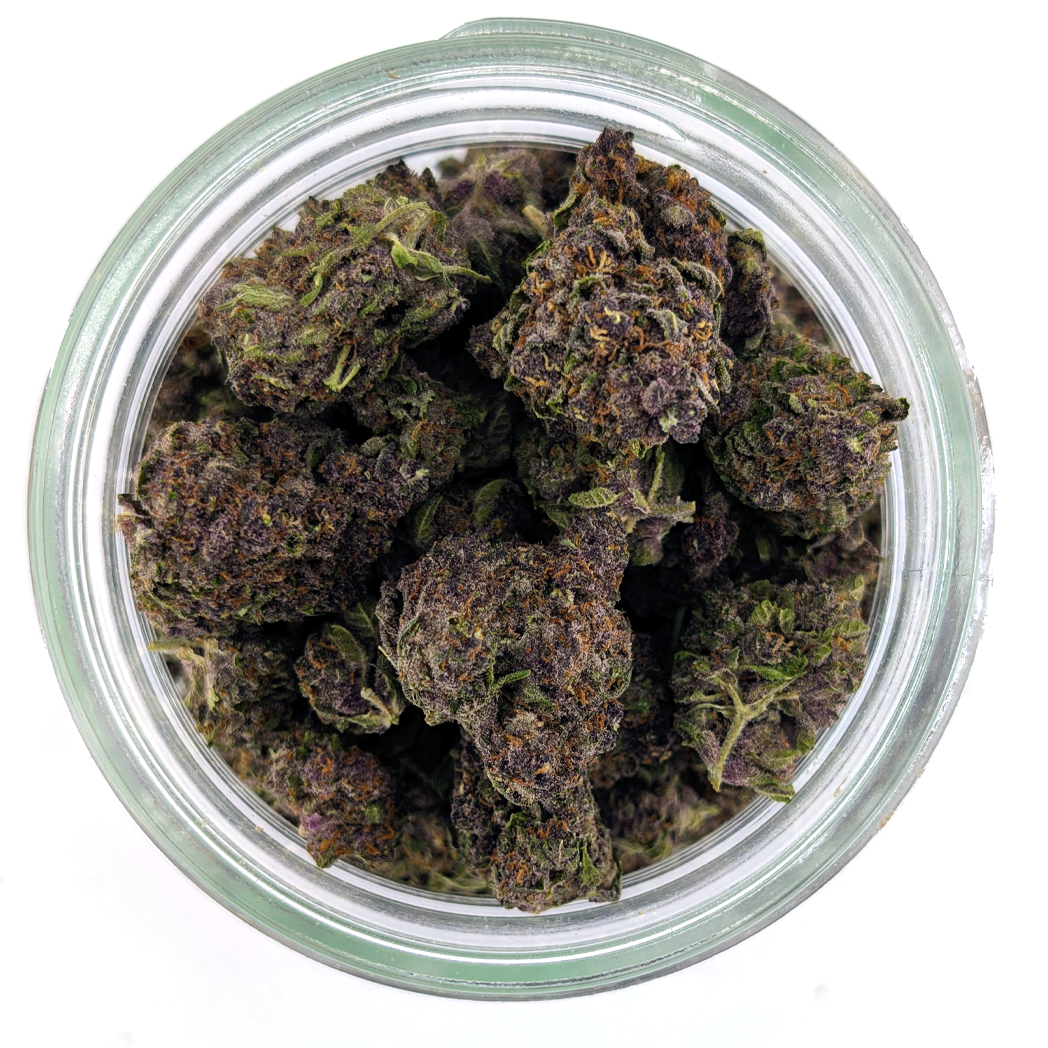 Purple Rhino Flower