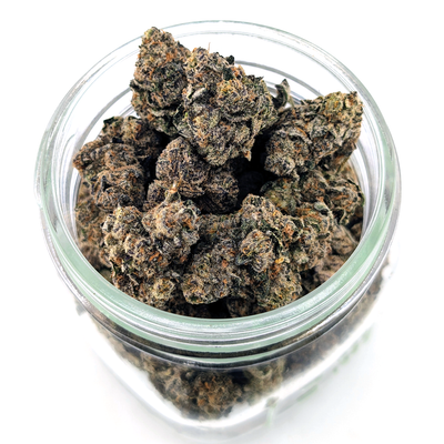 Purple Octane Flower