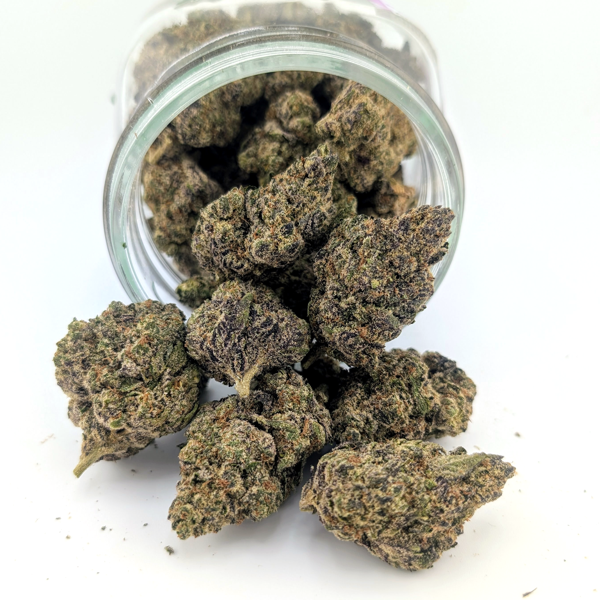 Purple Tesla - 19.97%- Exotic Flower