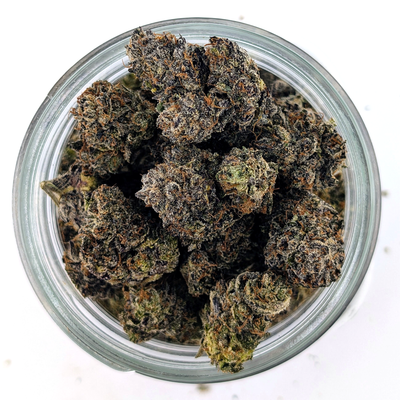 Purple Truffle Flower