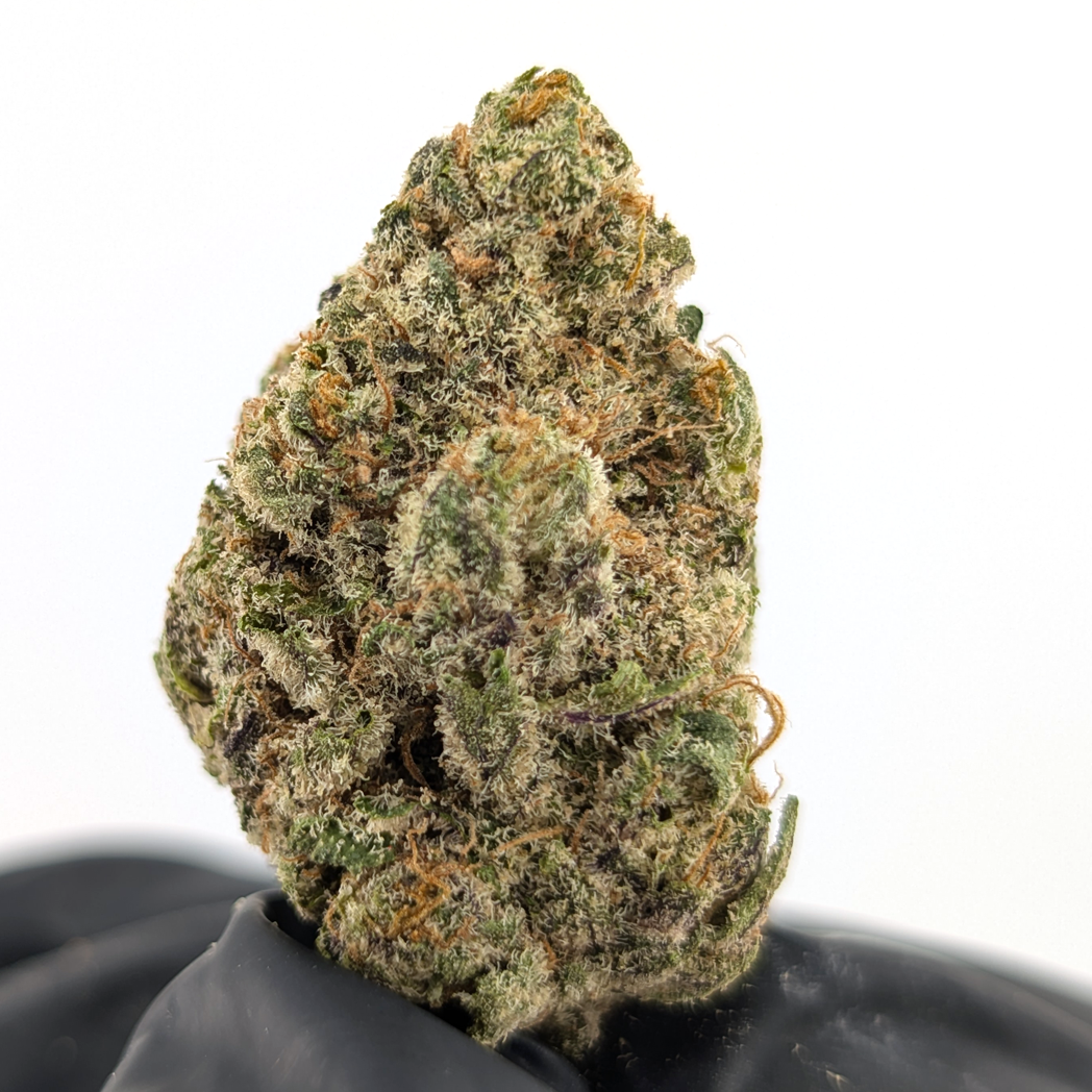 Purple Dream - 23.05%- Legendary Flower