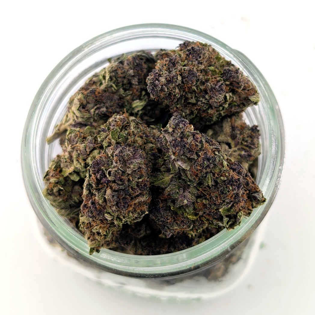 Purple Lemonade Flower