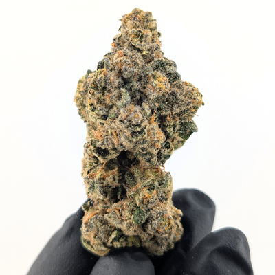 Purple Octane Flower