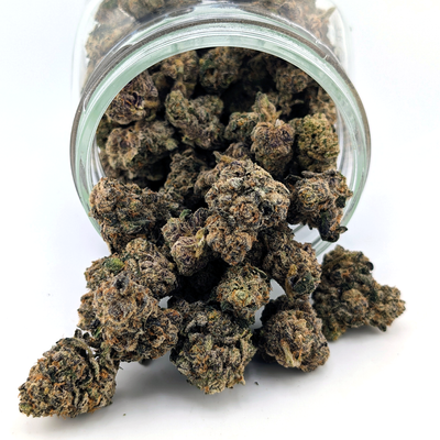 Purple Octane Flower