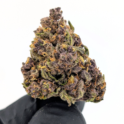 Purple Rhino Flower