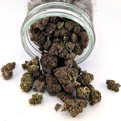 Purple Rhino Flower