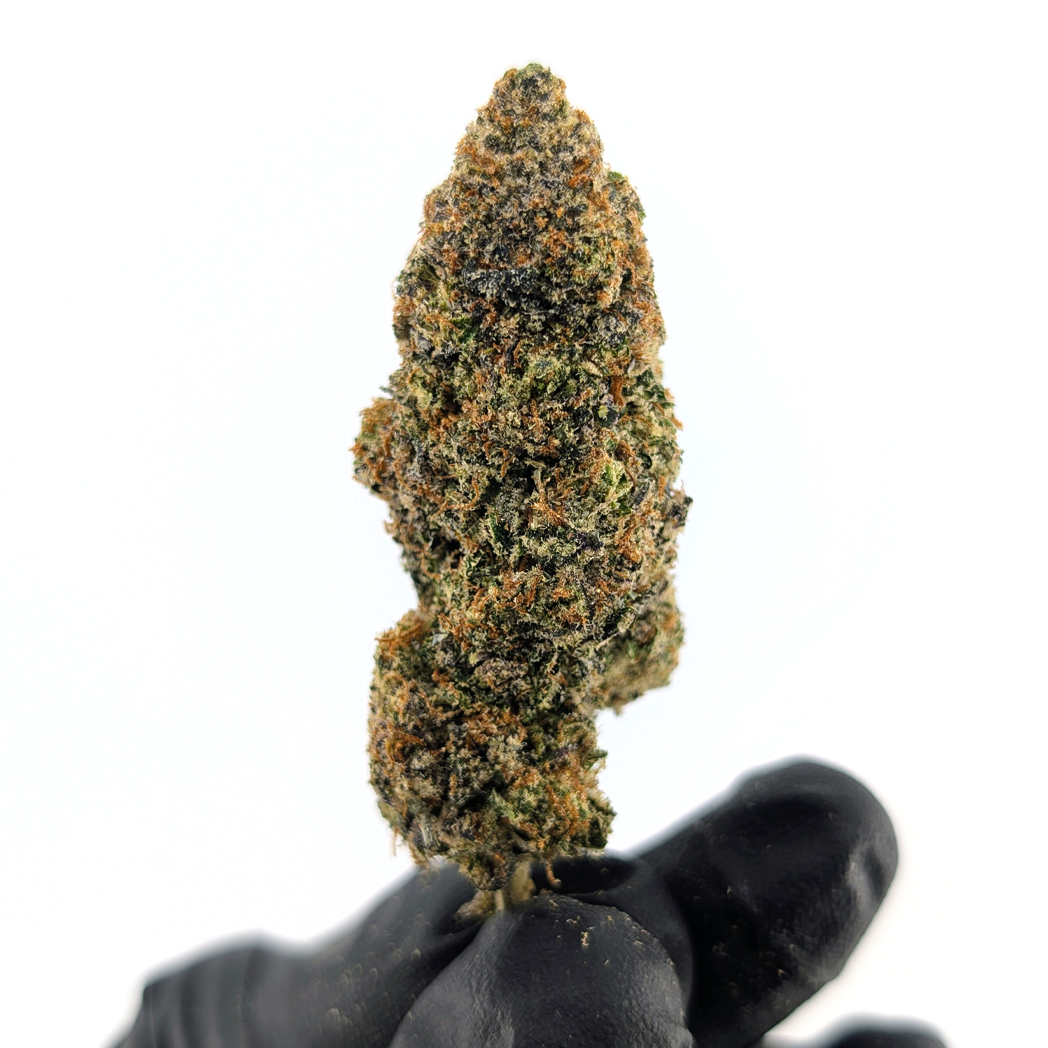 Rainbow Sorbet Flower