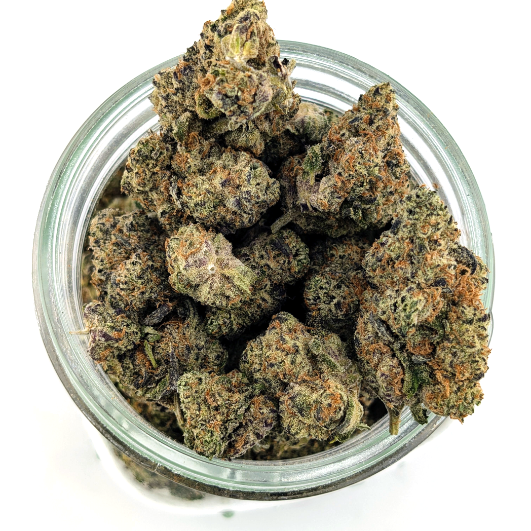 Rocky Mountain Flower