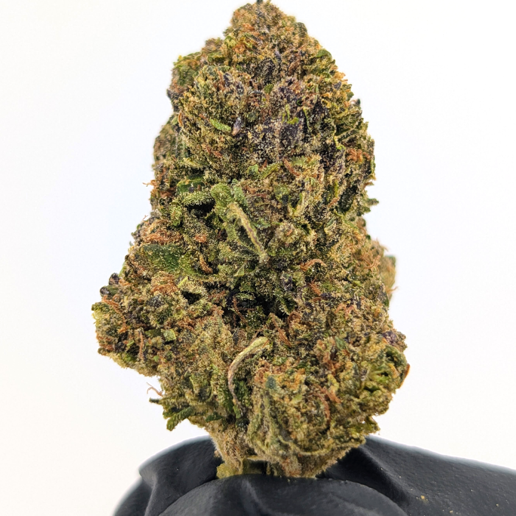 Runtz OG 22.18%- Strong Flower