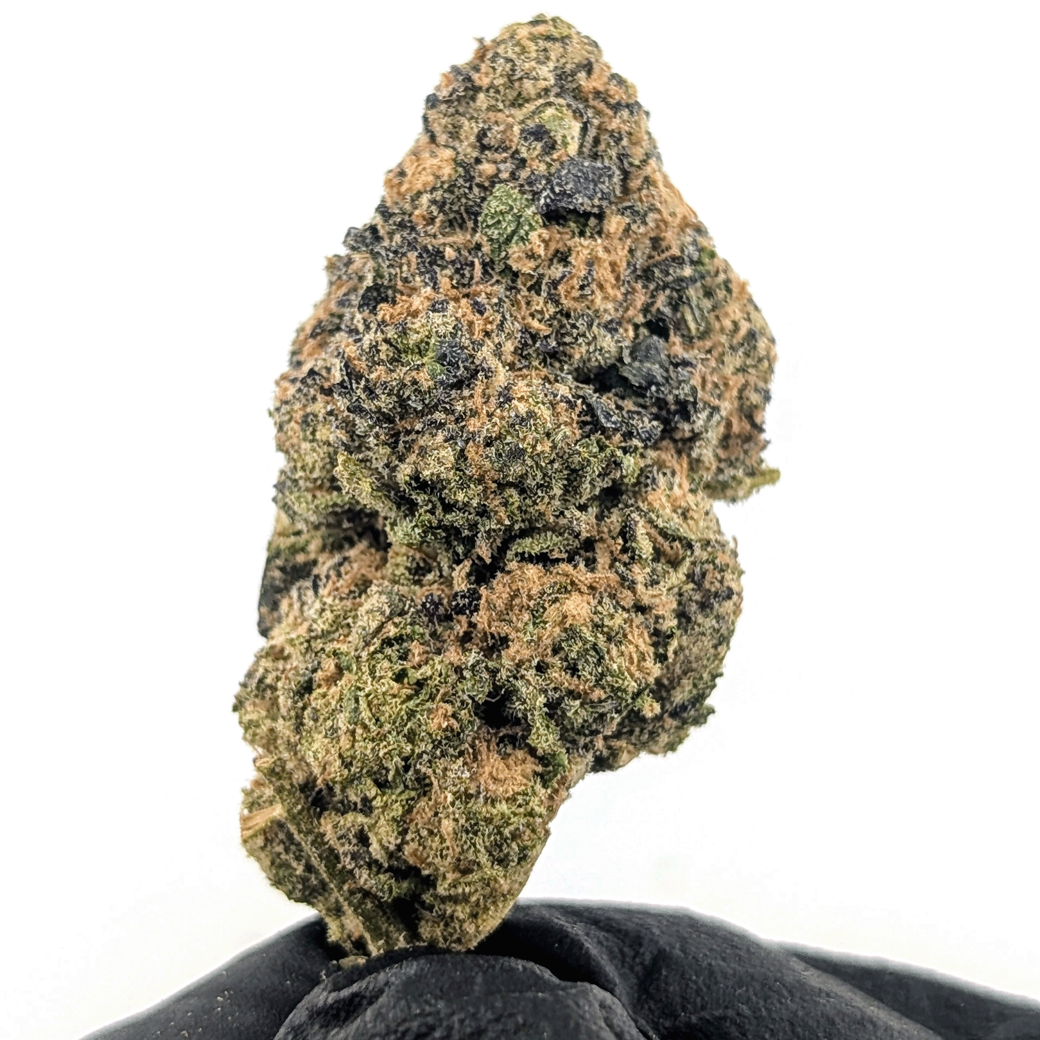 Toxic Punch - 26.64%- Exotic Flower