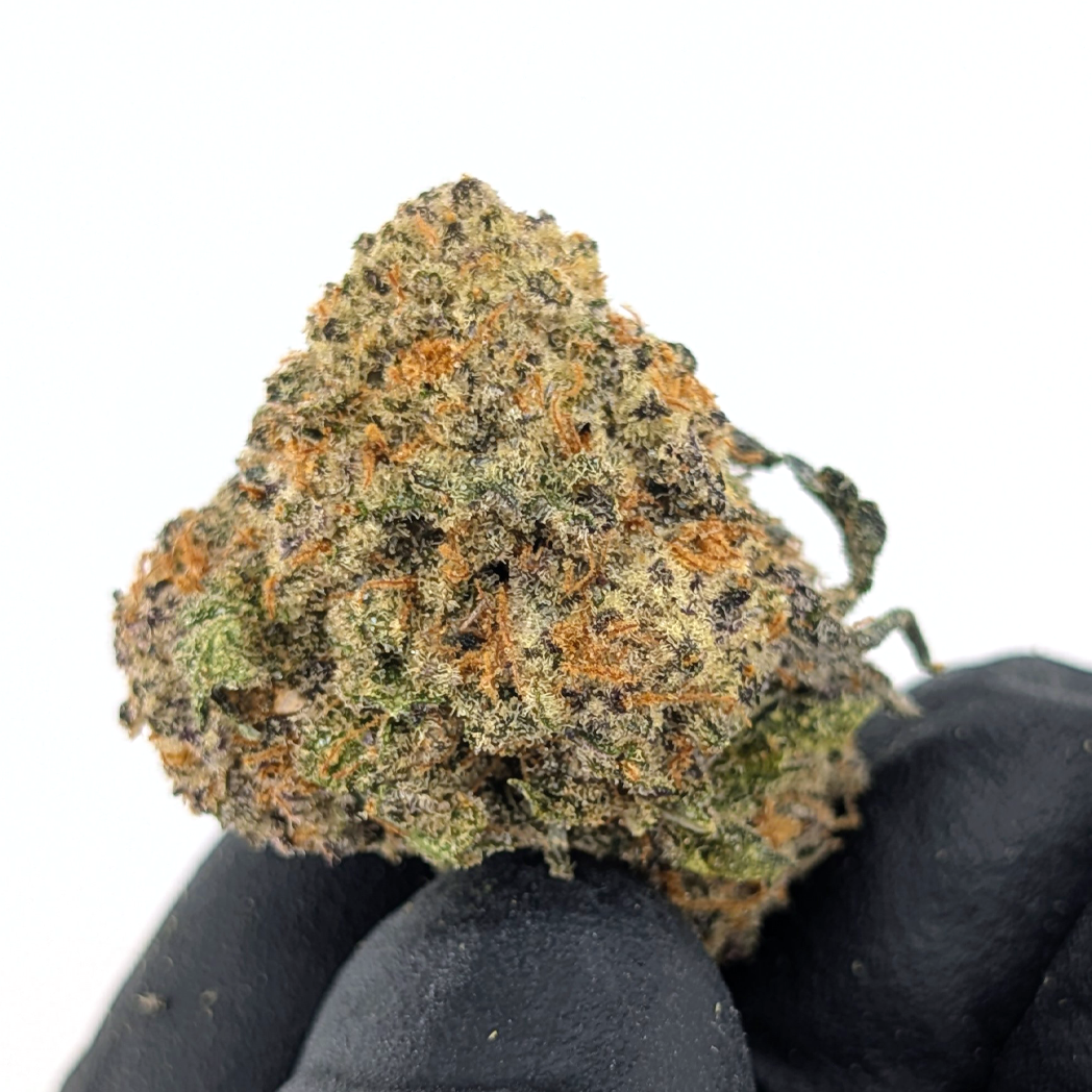 Shining Silver Haze Flower