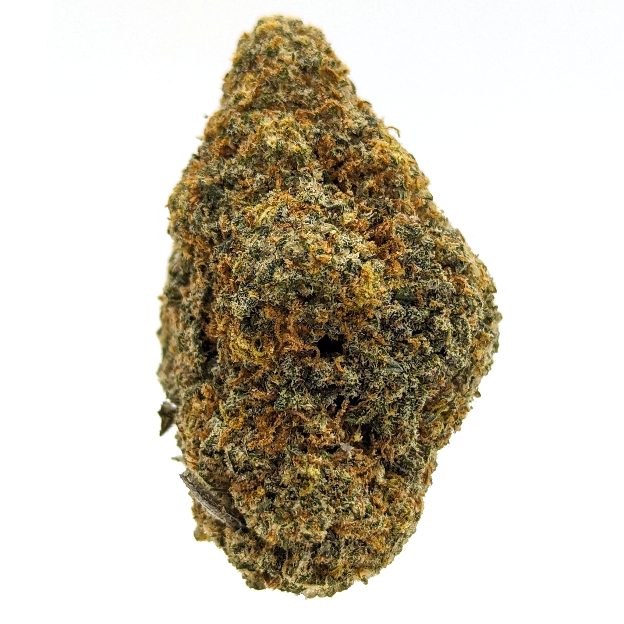 Sour Banana- Indoor Flower