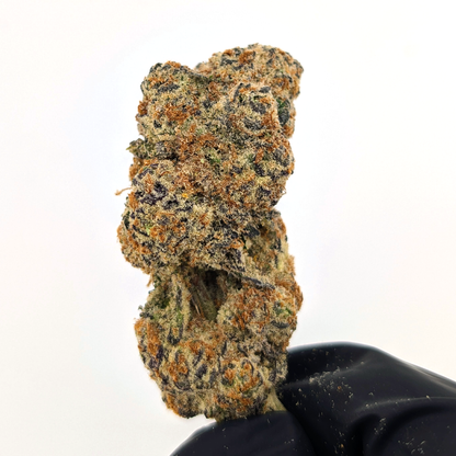 Strawberry Shortcake Flower