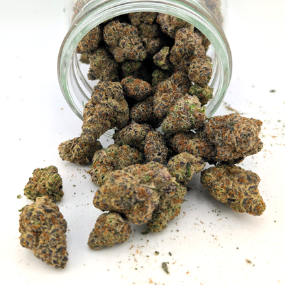 Strawberry Shortcake Flower