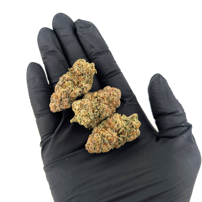Sundae Driver Flower