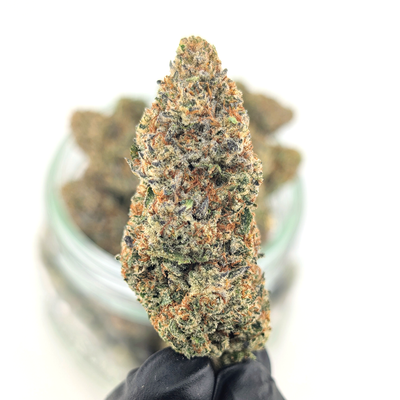 Sundae Driver Flower