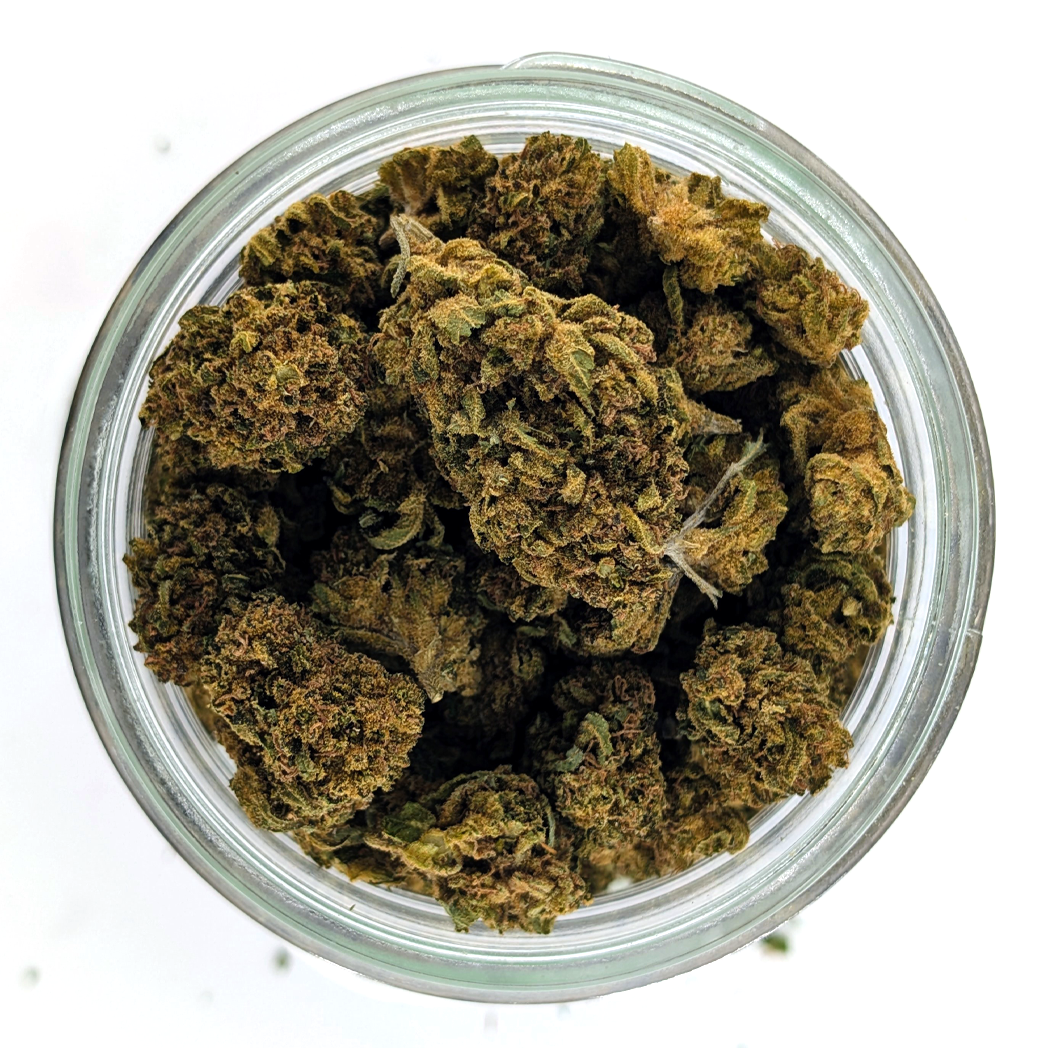 Super Jack Flower