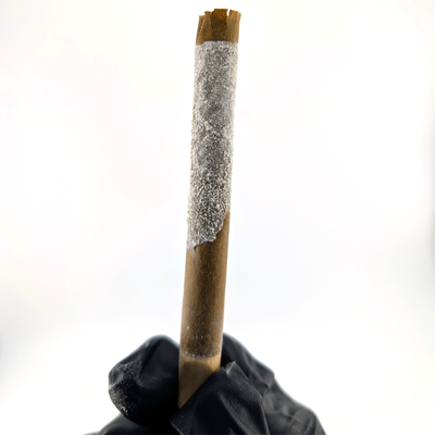 Hippie Crusher Frosted Infused Pre-Rolled Blunt