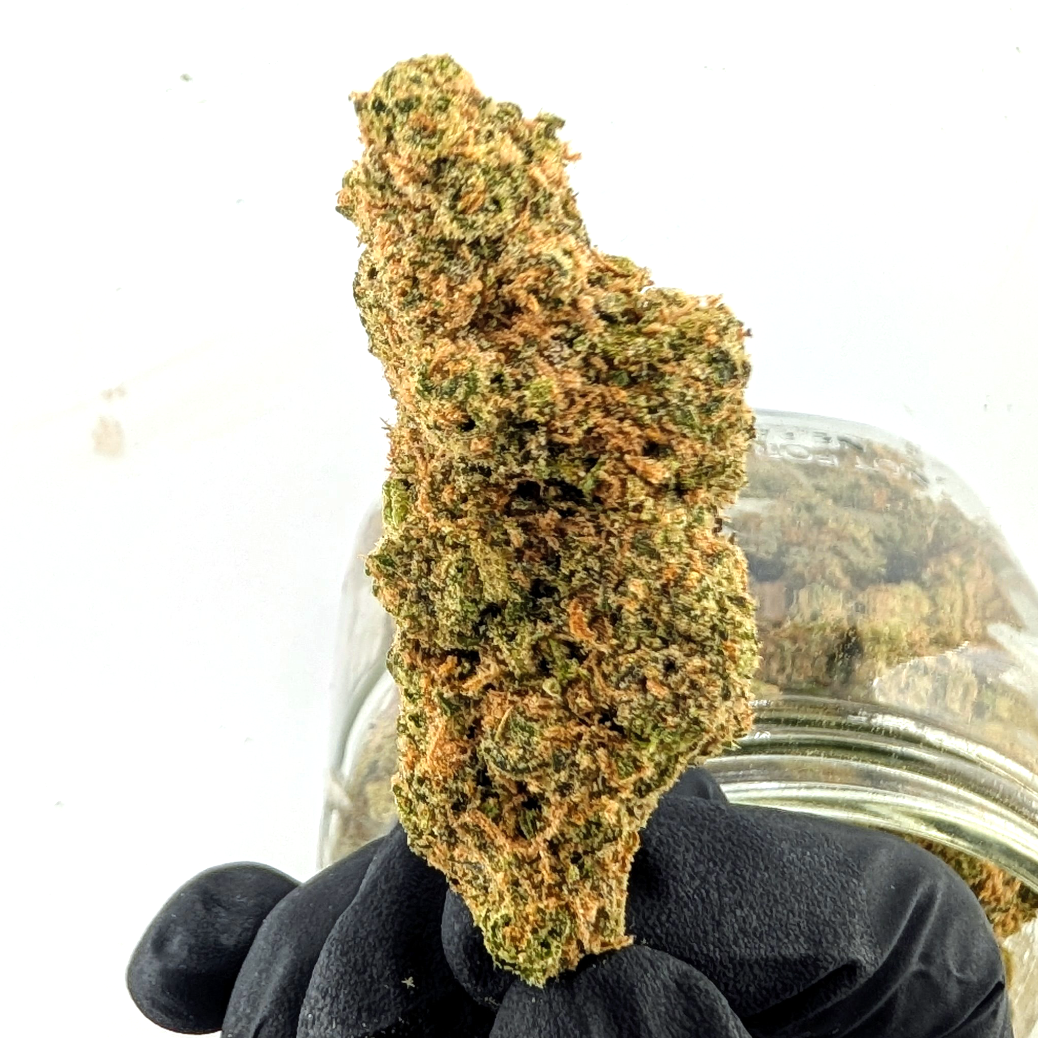 Tangerine Dream - 31.53%- Legendary Flower