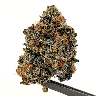 Tahoe Cookies Flower