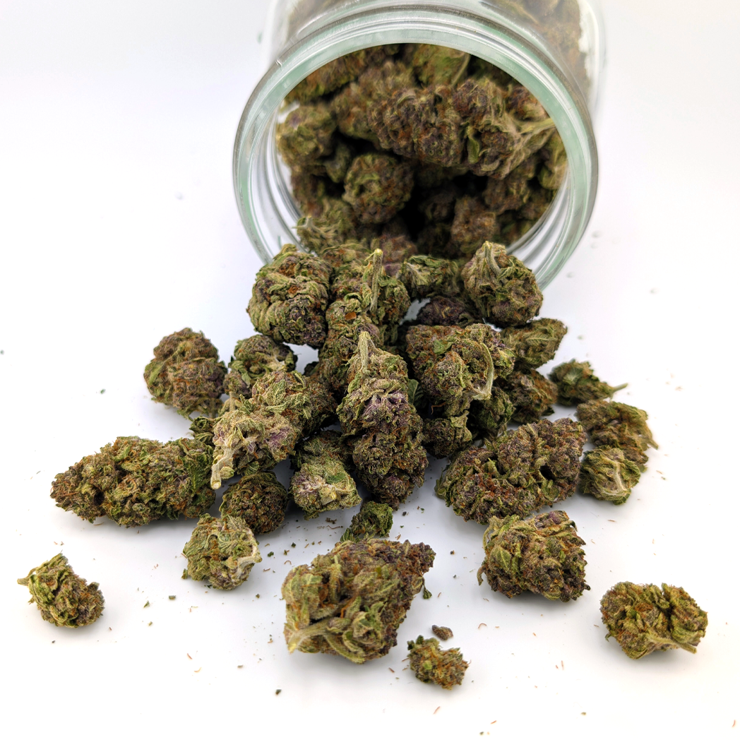 Tropical Summer - 28.63% - Exotic Flower