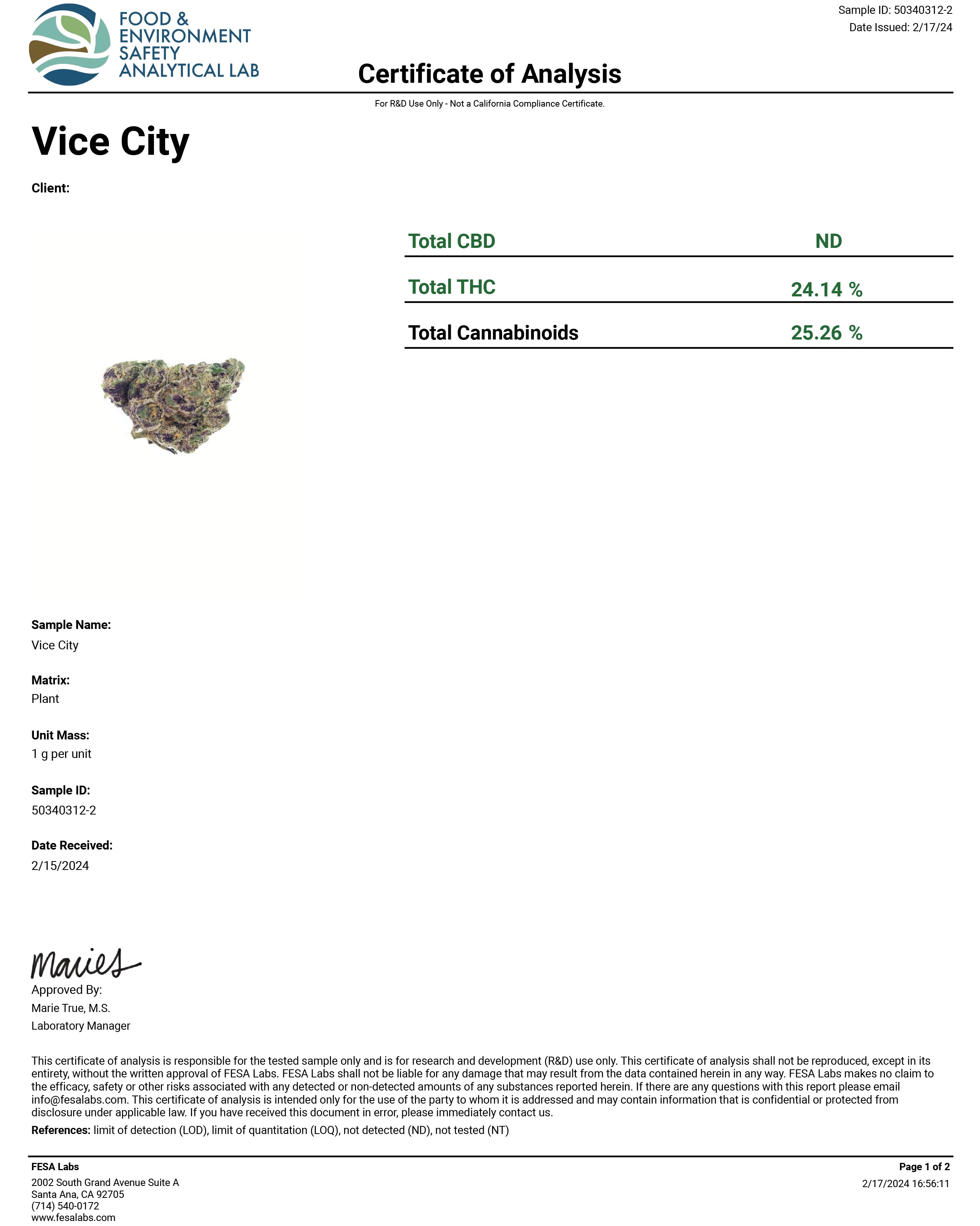 Vice City- 24.14%- Exotic Flower