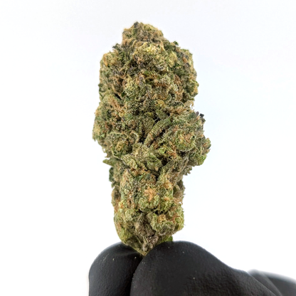 Waffle Cone - 24.47%- Exotic Flower